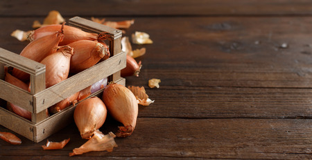Organic onion on wooden table close upの写真素材