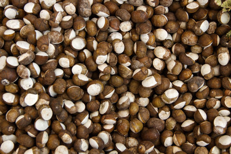 Green snails on a farmers market top viewの写真素材