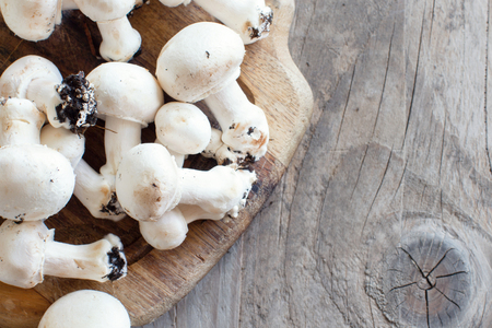 Champignon Mushrooms on an old wooden tableの写真素材