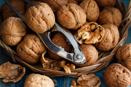 Fresh walnuts with a nutcracker on a blue wooden tableの写真素材