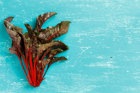 Fresh red chard from a farmers market top view on a turquoise blue backgroundの写真素材
