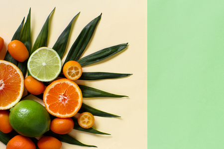 Citrus fruits on a pastel background top viewの写真素材