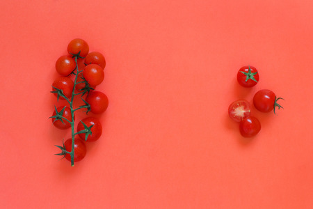 Cherry tomatoes on a coral red background top viewの写真素材