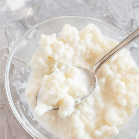 Kefir grains with a spoon close upの写真素材