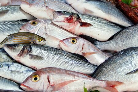 Mixed fish for sale on a local fish marketの写真素材