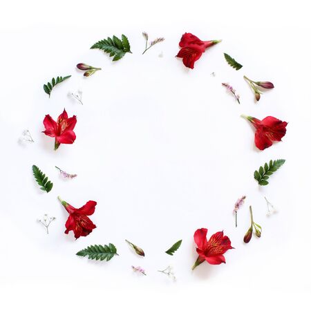 Flowers and leaves on a white background top viewの写真素材