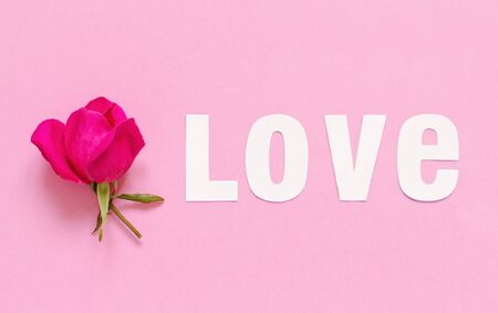 Pink rose and word LOVE on a light pink background top viewの写真素材
