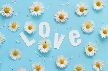 White daisies, petals and text LOVE on a light blue background top viewの写真素材