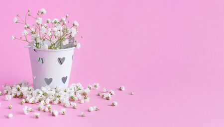 Small white flowers  in a bucket  on a pink background close upの写真素材