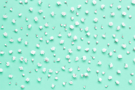 Small white flowers on a light blue background top view