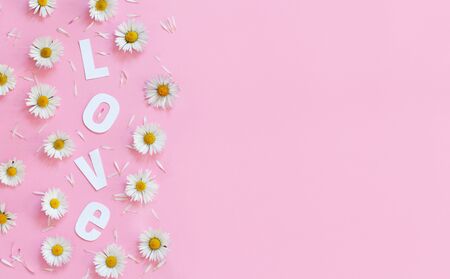 White daisies, petals and text LOVE on a light pink background top viewの写真素材