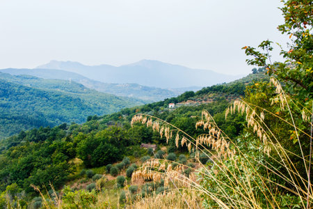 Panoram view of Cilento National Park near Roscigno, Cilento, Campania, Italy の写真素材