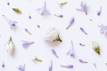 Whiteand light purple flowers on a white background top viewの写真素材