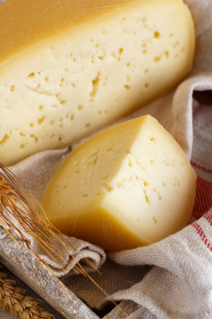 Pieces of  fresh homemade italian cheese on a tray close up