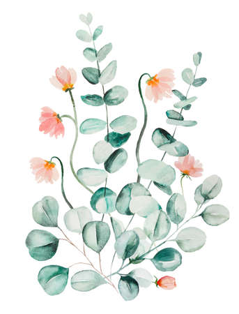 Watercolor pink flowers and green eucalyptus leaves bouquet illustration isolatedの写真素材