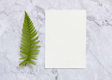 Blank paper card with fern leaf on white marble table top view. Tropical mock-up scene with greeting card flat layの写真素材