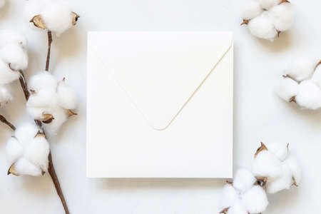 Feminine white Wedding envelope on white table with cotton flowers top view. Elegant modern template with square blank envelope mockup, flat lay with place for text.  Minimalistic stationery scene. Natural, eco-friendly conceptの写真素材