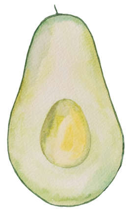 Half green juicy avocado. Watercolor tropical fruit illustration. Healthy food, keto dietの写真素材