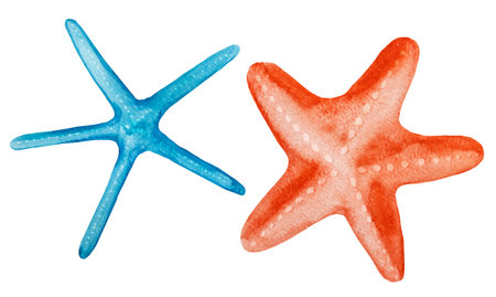 Hand drawn Watercolor blue turquoise and red starfishes isolated on white. Underwater Illustration for greeting cards, summer beach wedding invitations, and other printing and craft projectsの写真素材