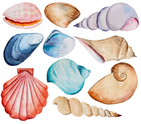 Set of Hand drawn Watercolor blue, brown and red seashell isolated on white. Underwater Illustration for greeting cards, summer beach wedding invitations, and other printing and craft projectsの写真素材
