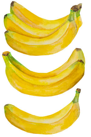 Bunches of Watercolor yellow ripe bananas. Whole tropical fruit illustration. Healthy food, keto dietの写真素材