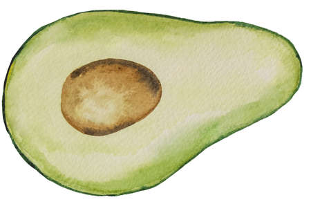 Half green juicy avocado. Watercolor tropical fruit illustration. Healthy food, keto dietの写真素材