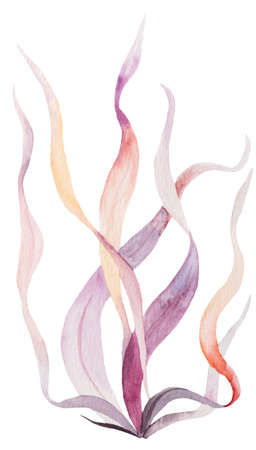 Set of hand drawn Watercolor seaweeds in pastel pink and light purple isolated. Underwater Illustration for greeting cards, summer beach wedding invitations and craft projectsの写真素材