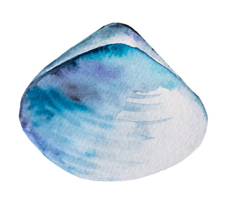 Hand drawn Watercolor blue clam seashell  isolated on white. Underwater Illustration for greeting...