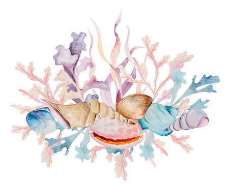 Watercolor arrangement made from seaweeds and seashells isolated. Underwater bouquet, Illustration for greeting cards, summer beach wedding invitations, crafting, printingの写真素材