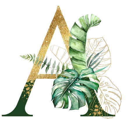 Golden and green letter A decorated with green and golden Watercolor tropical leaves isolated on white. Sparkling Exotic alphabet element with palm, monstera and banana leaves. Wedding stationeryの写真素材