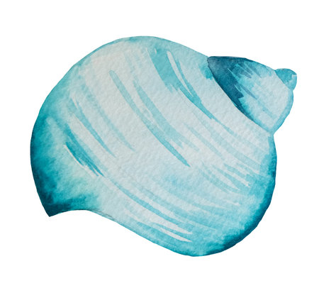 Hand drawn Watercolor blue seashell  isolated on white. Underwater Illustration for greeting cards, summer beach wedding invitations, and other printing and craft projectsの写真素材