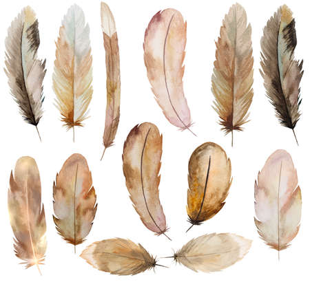 Watercolor brown and beige feather, Bohemian illustration isolated. Monochrome elements set for boho wedding stationery, greeting cards and other printing and craft projectsの写真素材