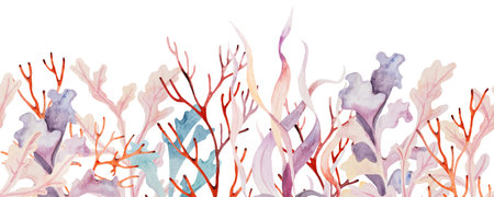 Watercolor horizontal seamless border made from seaweeds and coral in pastel colors isolated. Underwater Illustration for greeting cards, summer beach wedding invitations, crafting, printingの写真素材