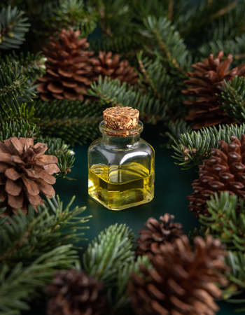 Glass bottle with conifer essential oil between fir branches and pine cones on green close up. Aromatherapy, spa and herbal medicine concept. Natural remedy or cosmetics.の写真素材