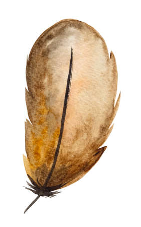 Watercolor brown  feather, Bohemian illustration isolated. Monochrome element for boho wedding stationery, greeting cards and other printing and craft projectsの写真素材