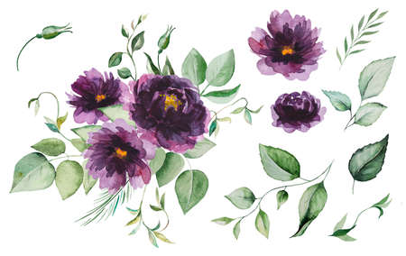 Watercolor Purple peonies flowers and green leaves bouquet illustration with single elements, isolated on white. Elements for wedding stationary, greetings cards. Hand painted arrangementの写真素材