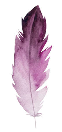 Watercolor pink feather, Bohemian illustration isolated. Monochrome element for boho wedding stationery, greeting cards and other printing and craft projectsの写真素材
