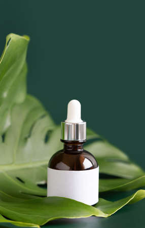 Dropper Bottle on tropical monstera leaf on green table close up. Brand packaging mockup. Aromatic oil, skincare beauty product, cream or serum. Natural herbal cosmetics conceptの写真素材