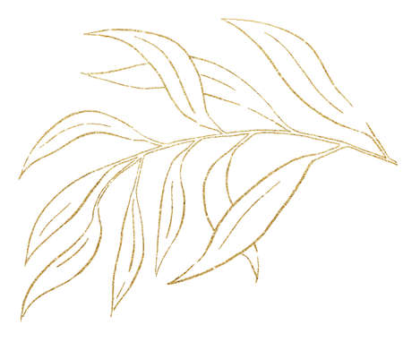 Golden Outlines botanical leaves of garden plants illustration isolated. Elegant Elements for wedding design, greeting cards and craftingの写真素材