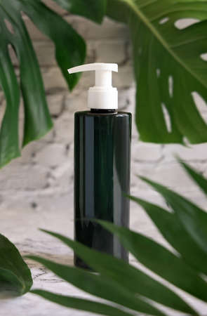 Dark green one pump dispenser and tropical monstera leaves on marble table close up. Brand packaging mockup. Skincare beauty product. Natural herbal cosmetics conceptの写真素材