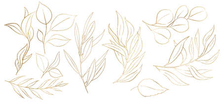 Golden Outlines botanical leaves - olive branch, garden plants, eucalyptus, illustration isolated. Elegant Elements for wedding design, greeting cards and craftingの写真素材