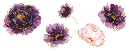 Watercolor Purple and golden peonies illustration isolated. Romantic floral Element for wedding stationary, greetings cards. Sparkling golden outline and violet flowersの写真素材