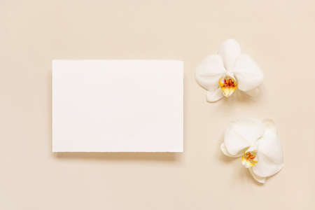 Wedding Card near white orchid flowers on light yellow top view, mockup. Romantic scene with horizontal blank card flat lay. Valentines or Spring romantic conceptの写真素材
