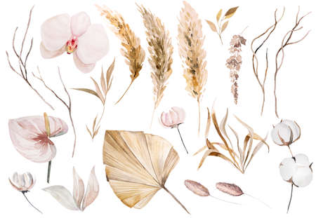 Watercolor bohemian set with beige and brown dried tropical leaves and orchid flowers illustration setisolated. Boho or ethnic arrangement for wedding stationeryの写真素材