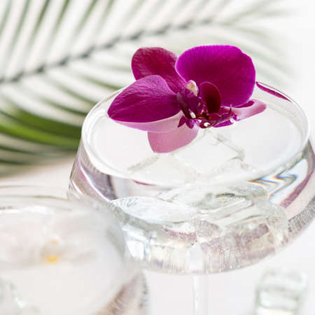 Transparent cocktail with ice in a champagne coupe glass decorated with purple orchid flowers close up. Tropical drink at the bar. Summer vacation moodの写真素材