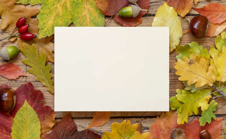 Blank card between colorful autumn leaves and berries on wooden table top view, rustic mockup. Horizontal card, flat lay, copy space. Thanksgiving, halloween or harvest conceptの写真素材