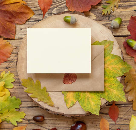 Blank card between colorful autumn leaves and berries on wooden table top view, rustic mockup. Horizontal card over envelope, flat lay, copy space. Thanksgiving, halloween or harvest conceptの写真素材