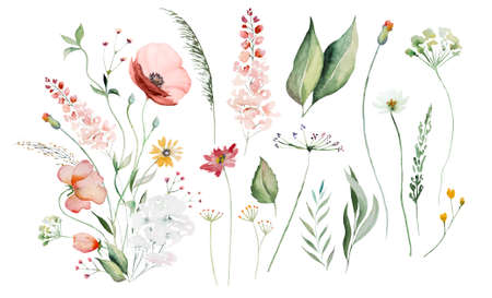 Bouquet made of colorful watercolor wildflowers and leaves illustration, isolated, copy space. Floral elements for summer wedding stationery and greetings cardsの写真素材
