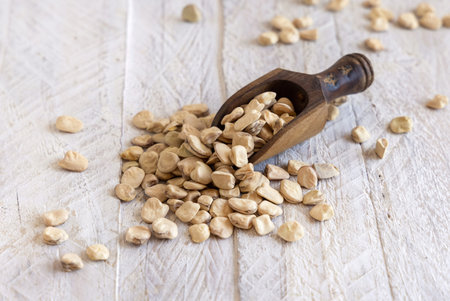 Scoop of raw dry Grass pea close up on wood. Healthy, protein source for vegan and vegetarian diet....