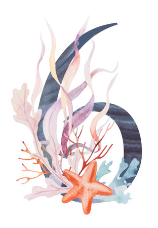 Blue number 6 decorated with watercolor seaweeds, corals and seashells isolated illustration. Hand drawn Underwater Element for summer beach wedding stationery. Alphabet marine designの写真素材
